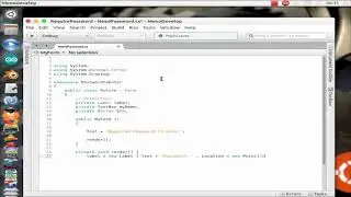Winform C Programming Multiplatform - Winform password