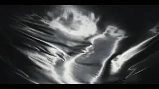 Francesco Berta - Chrysalis (Official Video)