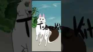Tsune is a happy foxxo