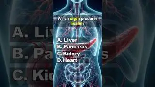 Do you know I Anatomy Quiz I General Knowledge I #shorts #youtubeshorts #shortsfeed #anatomy #gk