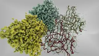 Electronegativity and Charge Visualization || The Protein Toolkit  || Houdini Tutorial