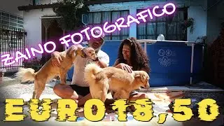 ZAINETTO FOTOGRAFICO A 18,50 EURO ottimo