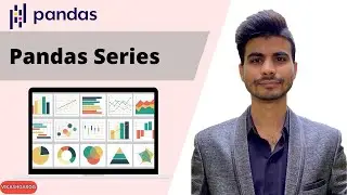 Pandas Series