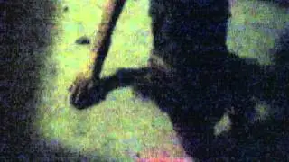 Cosmos playing with a laser