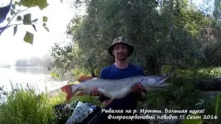ТРОФЕЙНАЯ ЩУКА !!! Мой первый ТРОФЕЙ. Адреналин на пределе!