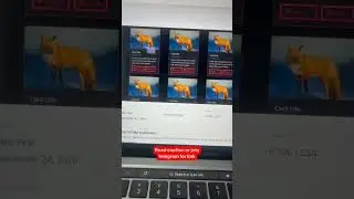 30+ CSS Cards using Bootstrap 🔥🚀 