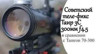 Tair 3S Review: Soviet 300mm f/4.5 Telephoto Prime Lens
