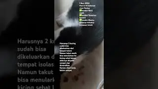 Setelah Panleu, muncul penyakit lain. #cat
