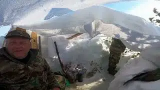 Весенняя охота на гуся