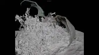 Maya Bifrost Splash sim.