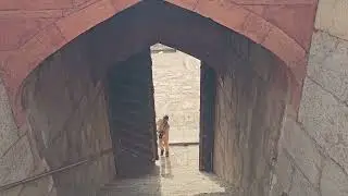 SymmetryScape: Patterns in Humanyun's Tomb