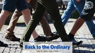 Back to the Ordinary | Father Boby John, C.S.C.