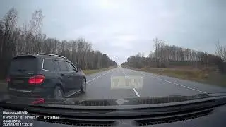 Водятлы не истребимы.