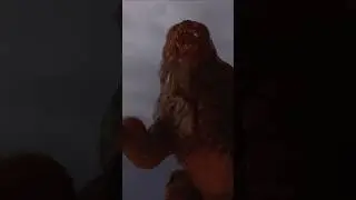 BEAR ATTACK! 