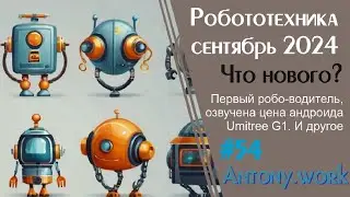 Робототехника. Сентябрь 2024. Домашний робот-компаньон Doly, робот для очистки пляжа от мусора и др
