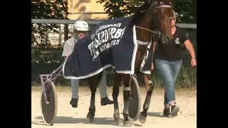 Österreichisches Traber-Derby 2023