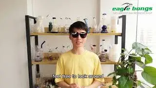 Meet Eaglebongs！