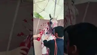 Hoga Hoga Ya Hussain as | Zuljanah 2023