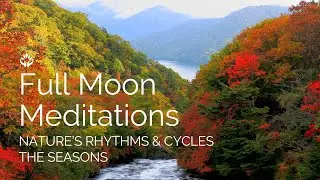 Full Moon Meditation: Embodying Nature's Rhythms and Cyles - The Seasons, September 2024