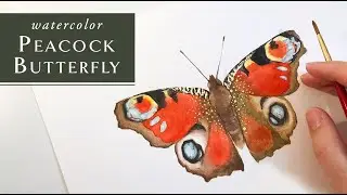 Colorful Butterfly Watercolor Tutorial for Beginners - Peacock Butterfly Painting