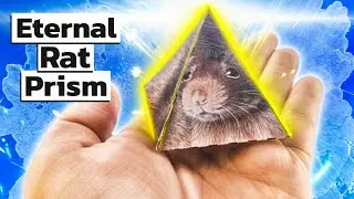 Eternal Rat Prism. It's the new Obamium?