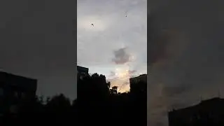 Стрижи и детские голоса. Вечер