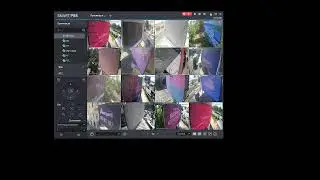 amedia отчеты