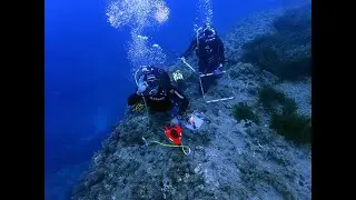 Monitoring Biodiversity and Alien Species in Marine Protected Areas (Natura 2000) of Cyprus