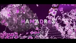 hamadres intro