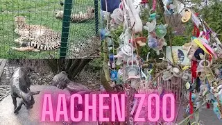 Aachan Tierpark/places To Visit In Aachen