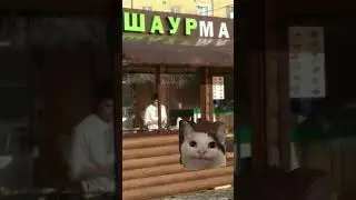 опа! Шаурма#мем#шаурма#shorts#рек
