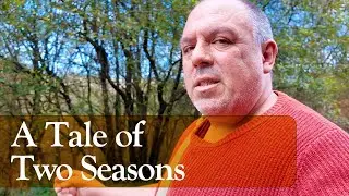 316. Vet Trip and Unexpected Forest Walk - Slow Living Alone in Wales (October)