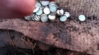 Для нового зрителя