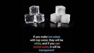 difference between transparent and white color ice cube(fact)