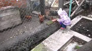 Ко-ко ням-ням