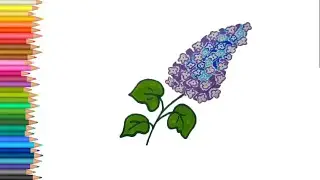 Как нарисовать Сирень рисунки для срисовки