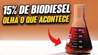 15% de Biodiesel - Quais os Problemas? Aumenta consumo? Como evitar danos no motor?