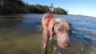 Lake Weyba Winnie 1080p
