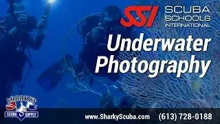 SSI Underwater Photography Course - Ottawa Scuba Diving