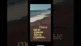 Мудрость от Виссариона Белинского #shorts