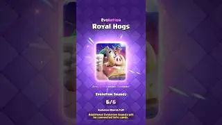 Evolution Royal Hogs Guide 🐷 