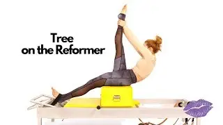Tree on the Reformer | OPC Tutorial