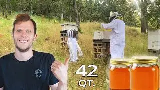 Protecting our Home (and Honey) from Hornets