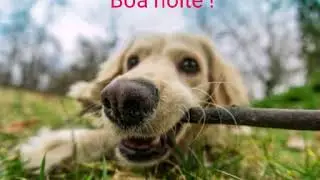 Boa noite amigos, otimo descanso para todos.