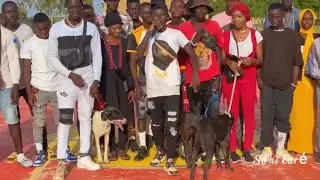Soni kuré, (Tono) clip officiel