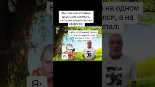 мем #shorts #мем #funny #каллстрой
