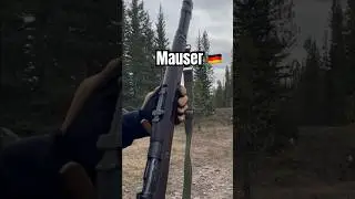 Shooting Mauser 
