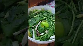 А как Вы солите помидоры ?🍅🍅 👍