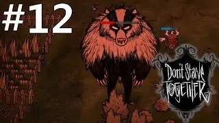 BEARGER W BAZIE! TARAPATY Don't Starve #12