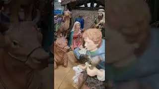The Nativity Set / Christmas Decorations 